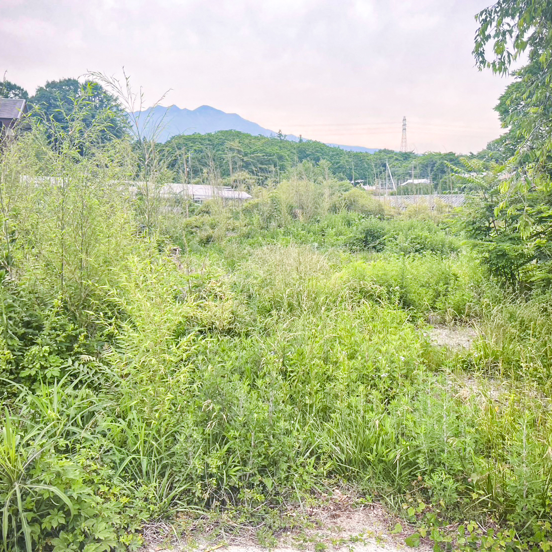 北杜市の大自然・これからのビジョン